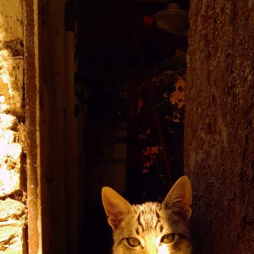 Photo #8993760