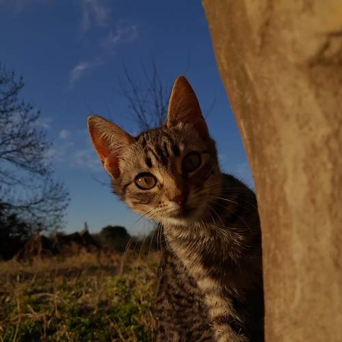 Photo #8993762