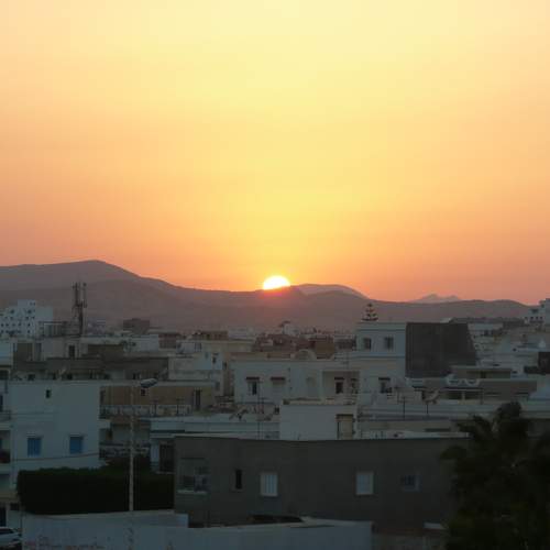 Photo #8993991