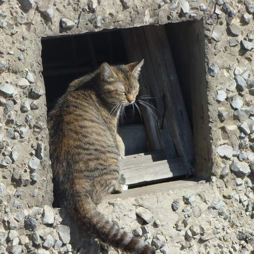 Photo #8994044