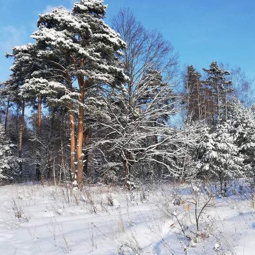 Photo #8994238