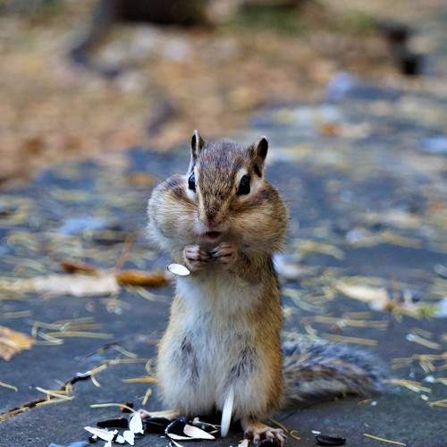 Photo #8994470