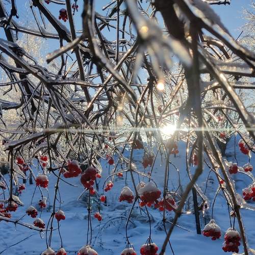 Photo #8994519