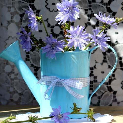 Photo #8994533