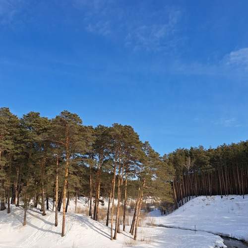 Photo #8994764