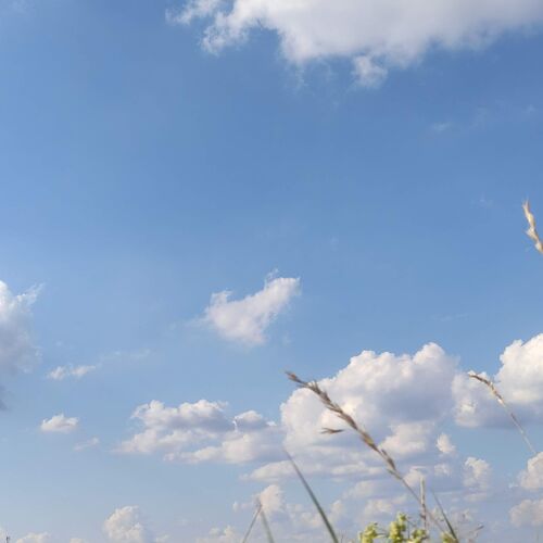 Photo #8994957