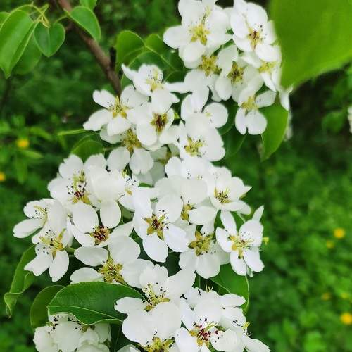 Photo #8994958