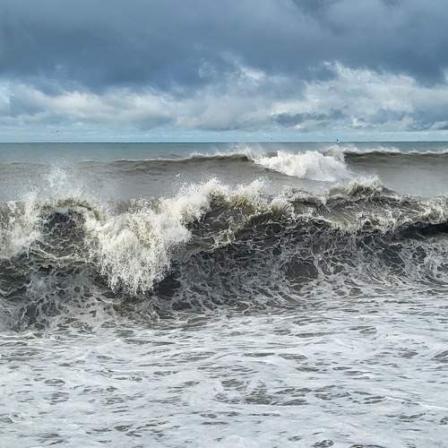 Photo #8995016