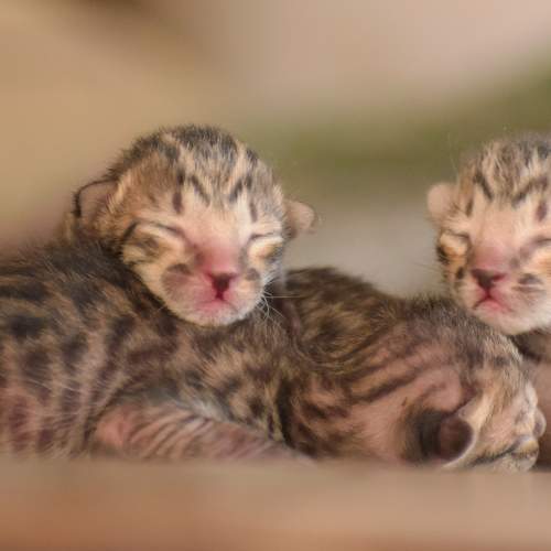 Photo #8995028