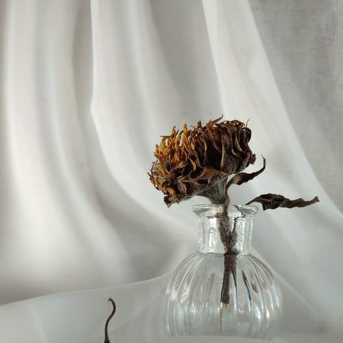 Photo #8995033