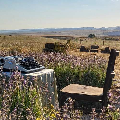 Photo #8995124
