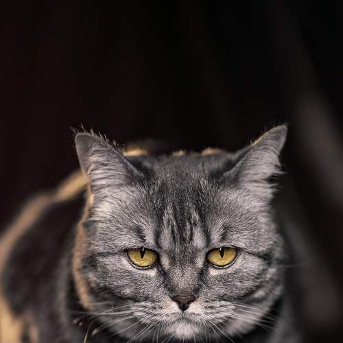 Photo #8995212