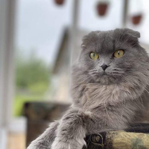 Photo #8995255