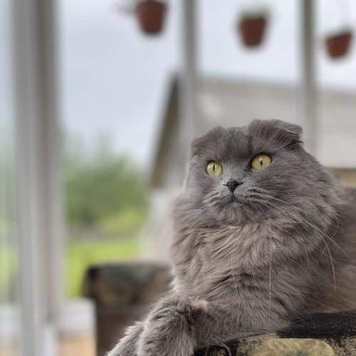 Photo #8995256