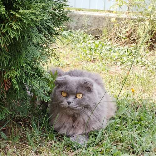Photo #8995260