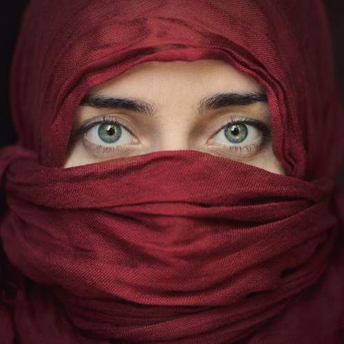 Photo #8995357