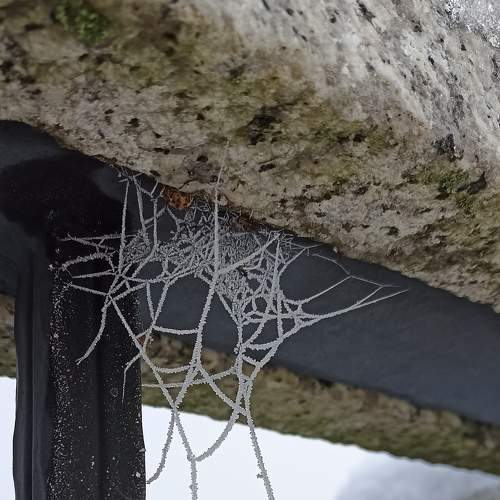 Photo #8995495