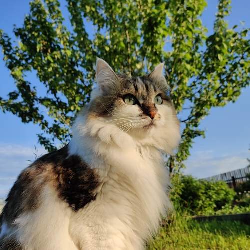 Photo #8995650
