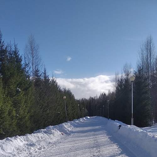 Photo #8995794