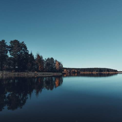 Photo #8995953