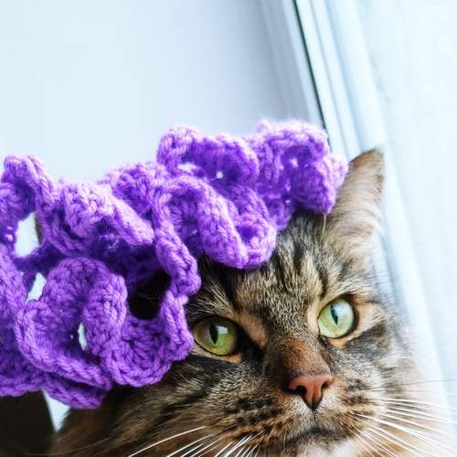 Photo #8996045