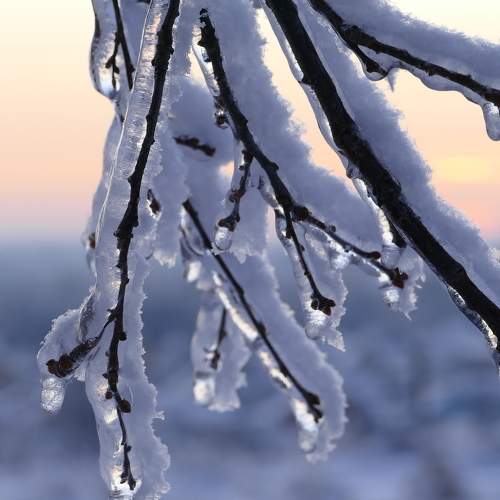 Photo #8996071