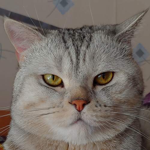 Photo #8996079
