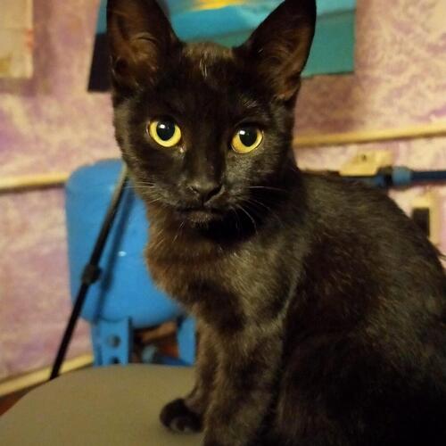 Photo #8996115