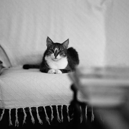 Photo #8996192