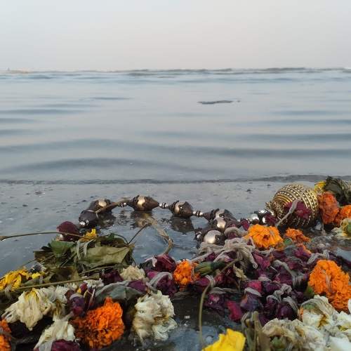 Photo #8996244