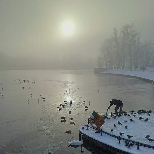 Photo #8996496
