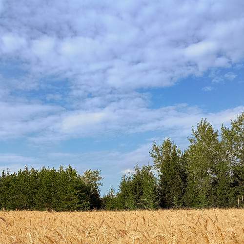 Photo #8996510