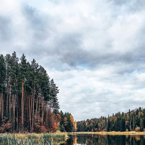 Photo #8996513