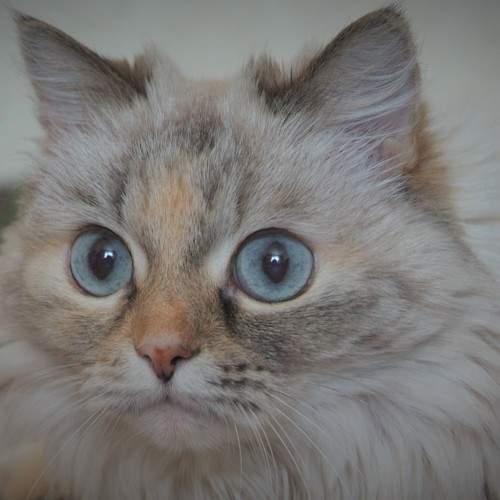Photo #8996599