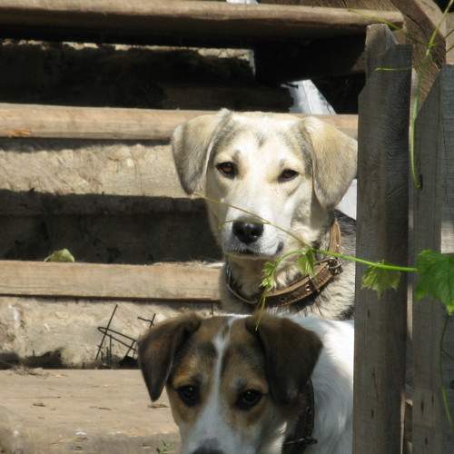 Photo #8996696