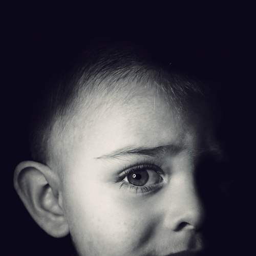 Photo #8996723