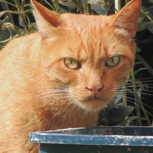 Photo #8997048