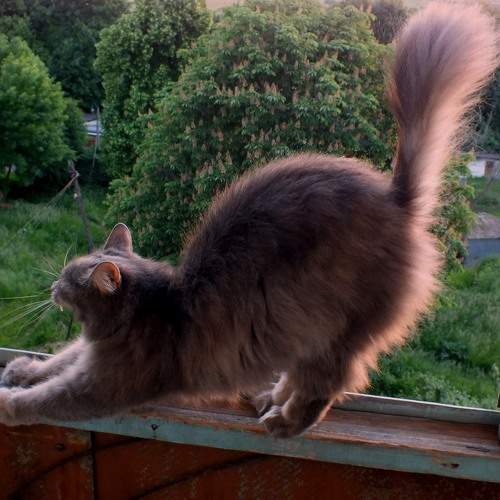 Photo #8997154