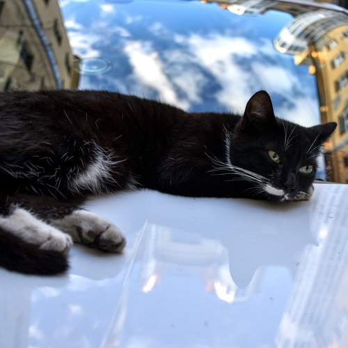 Photo #8997186