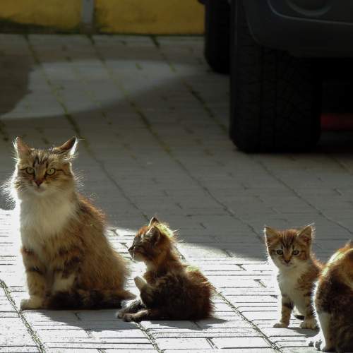 Photo #8997188