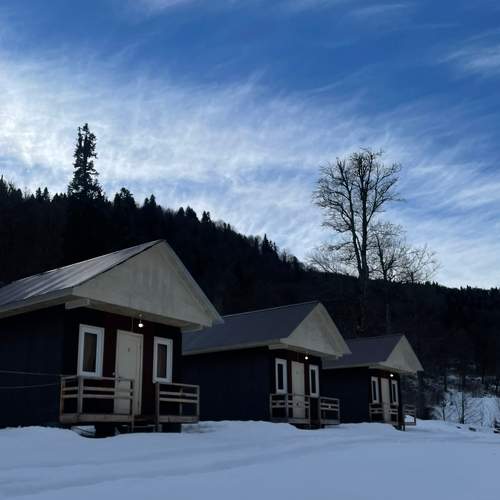 Photo #8997262