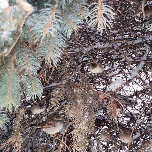 Photo #8997268
