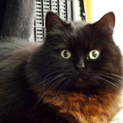 Photo #8997291