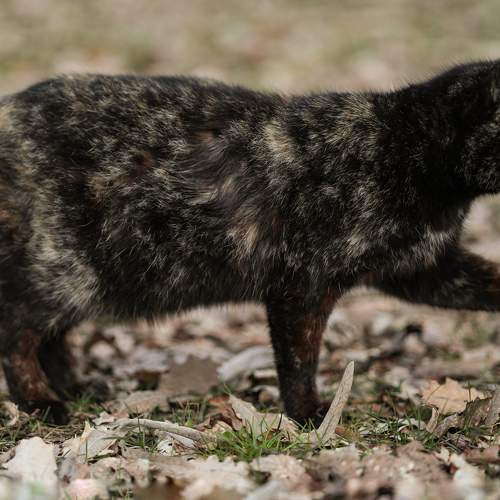 Photo #8997577