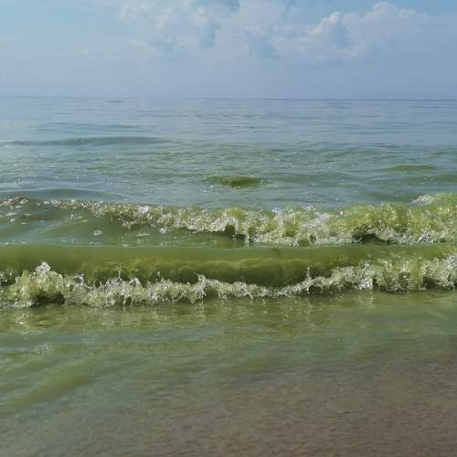 Photo #8997604