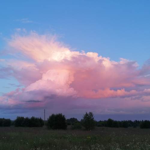 Photo #8997605