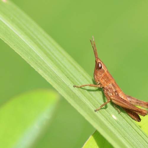 Фотография #8997682