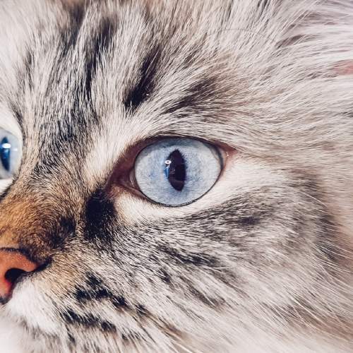 Photo #8997784