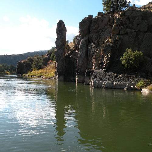 Photo #8998065