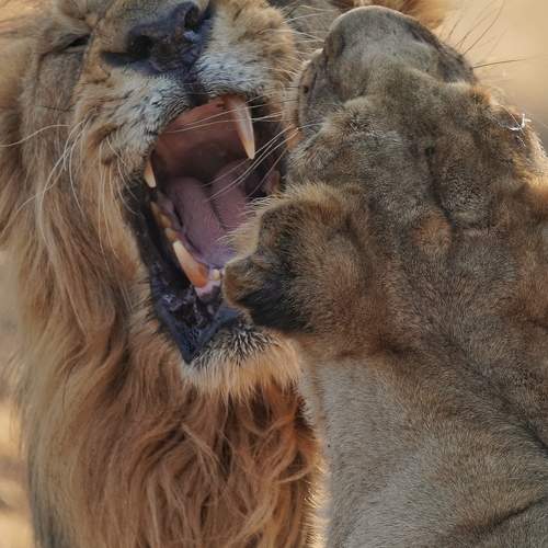 Photo #8998325